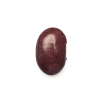 Frijol Ayocote Pinto | Frijoles Mexicanos de Masienda