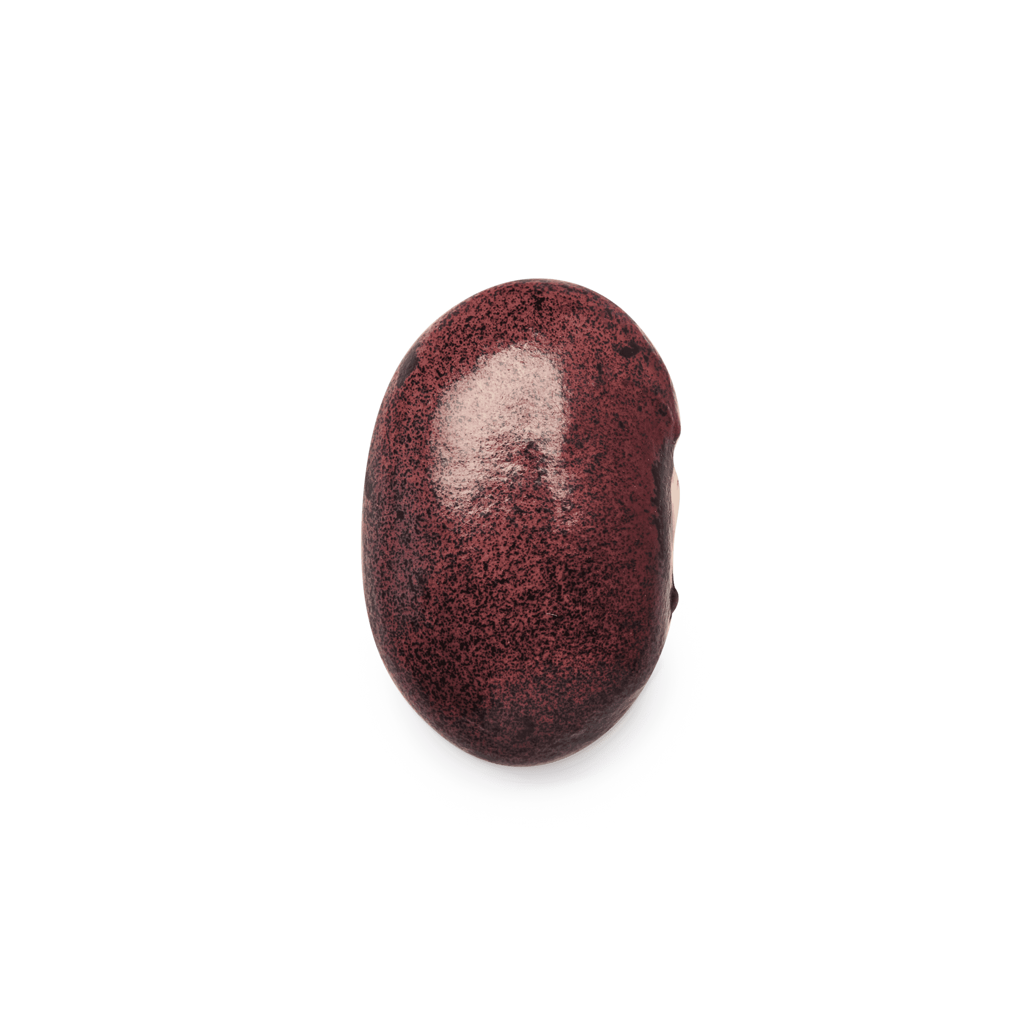 Heirloom Ayocote Pinto Beans | Masienda Mexican Beans | 55 lb | #1 of #2