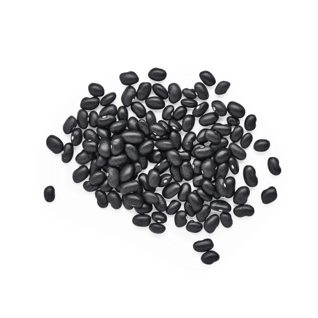 Frijoles Chatinos de la Herencia | Frijoles Mexicanos Masienda | 55 lb
