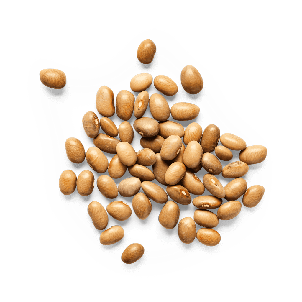 Heirloom Bayo Beans | Masienda Mexican Beans | 2.2 lb