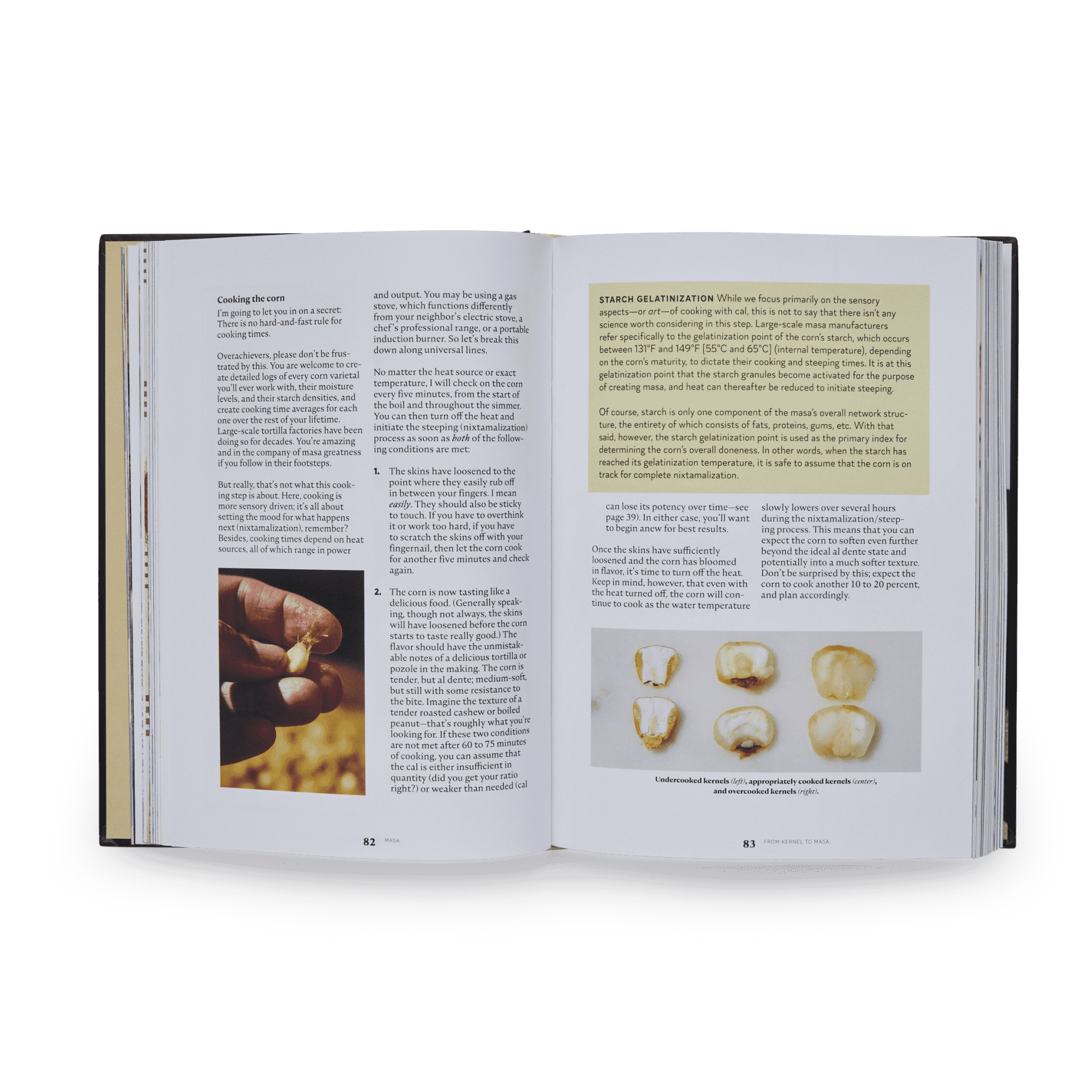 MASA Recipes Cookbook by Jorge Gaviria | Mexican Cookbook