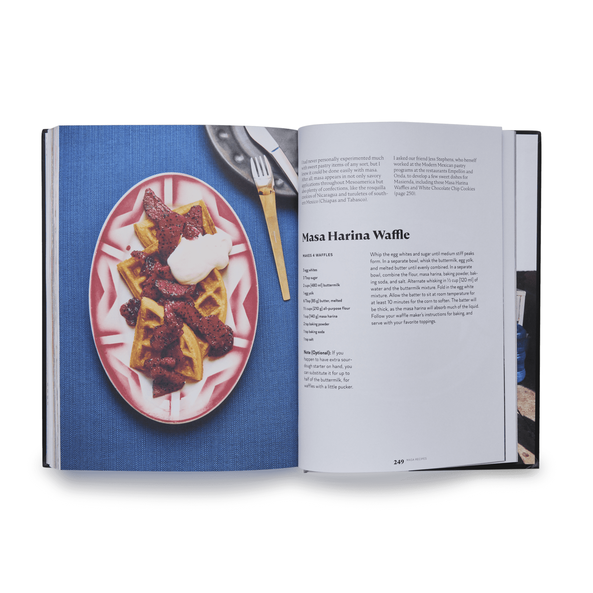 MASA Recipes Cookbook by Jorge Gaviria | Mexican Cookbook