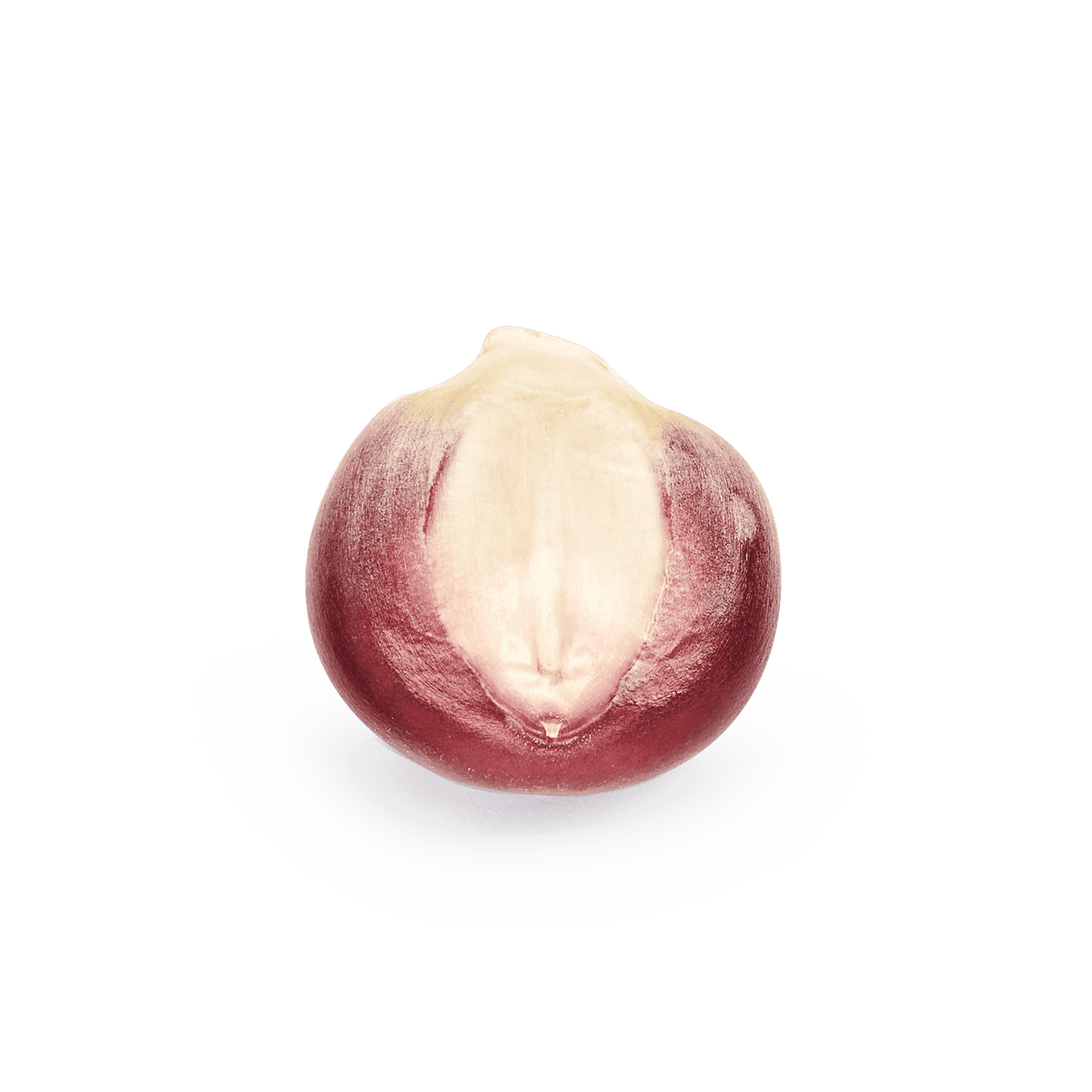 Bolita Belatove