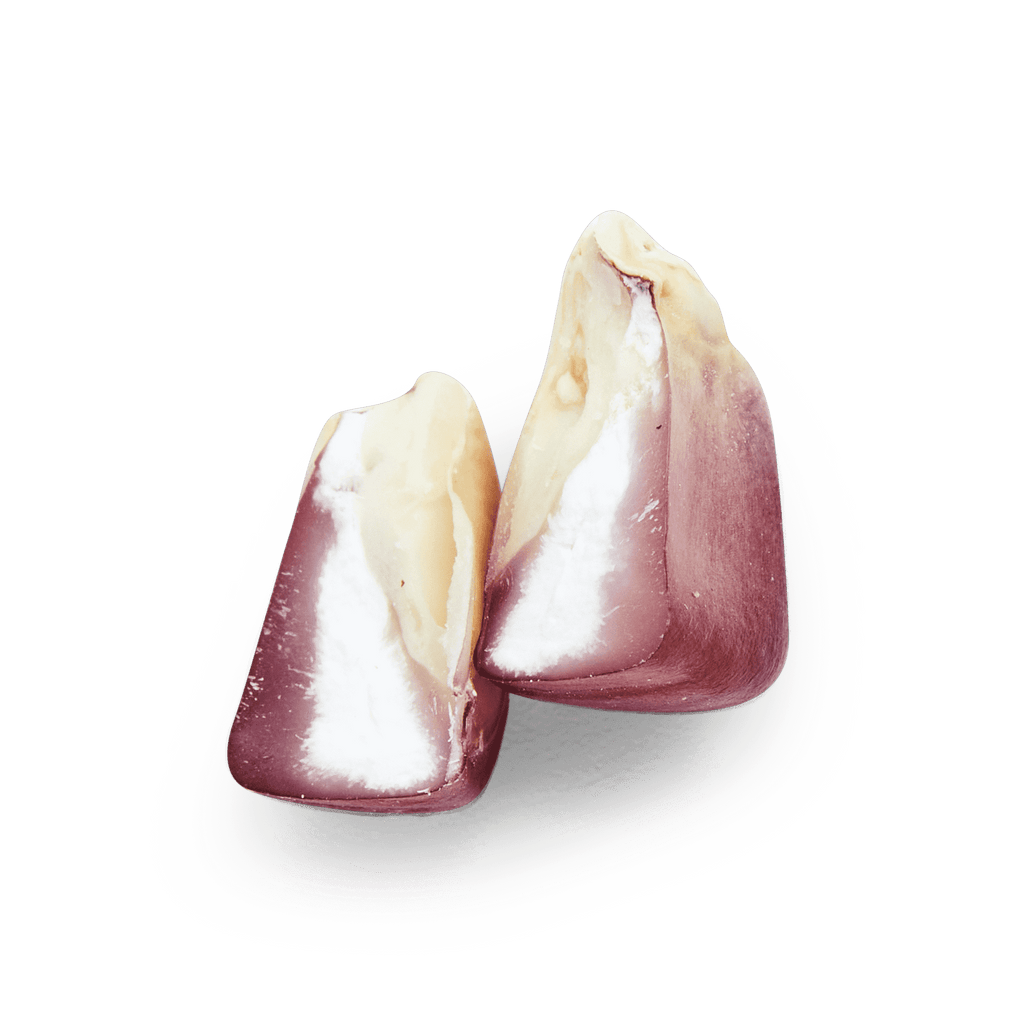Heirloom Corn | Masienda Wholesale Bolita Belatove | 55 lb