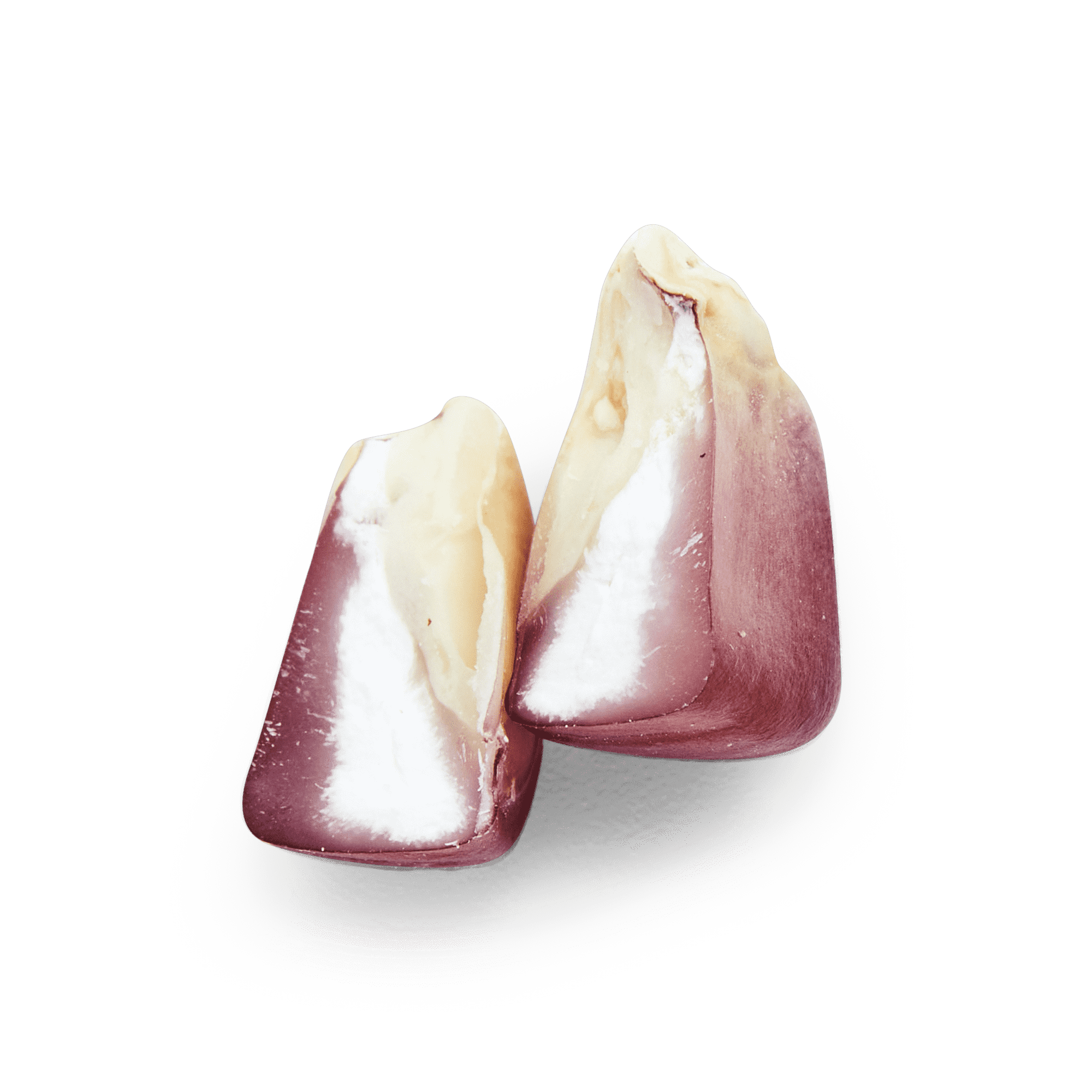 Heirloom Corn | Masienda Wholesale Bolita Belatove | 55 lb
