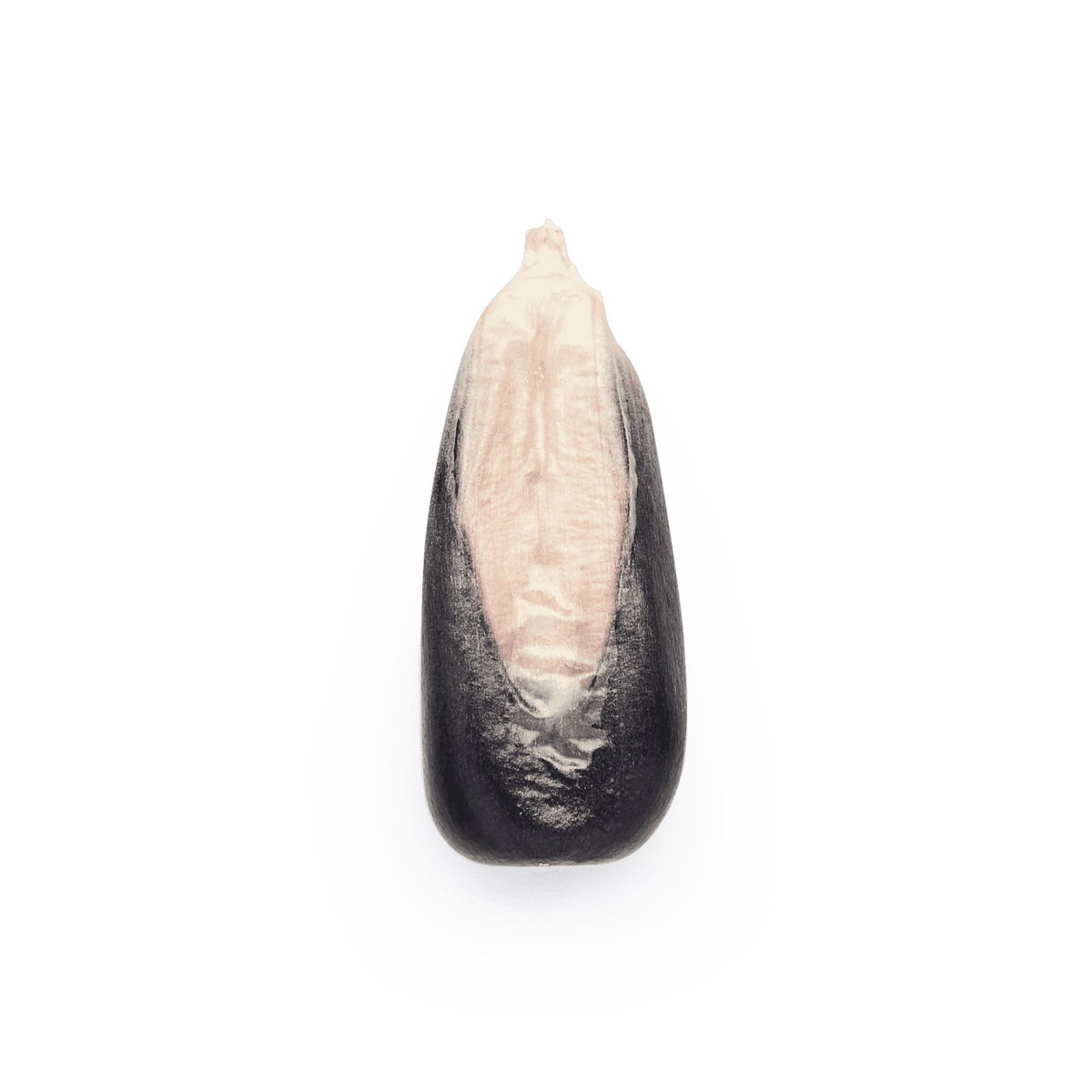 Cónico
