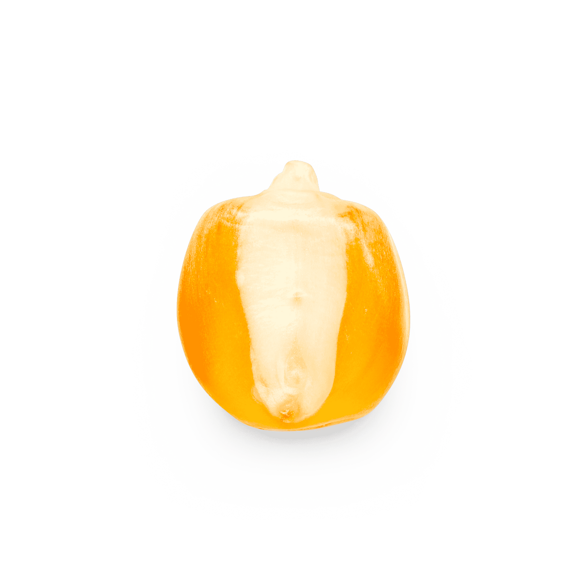 Bolita