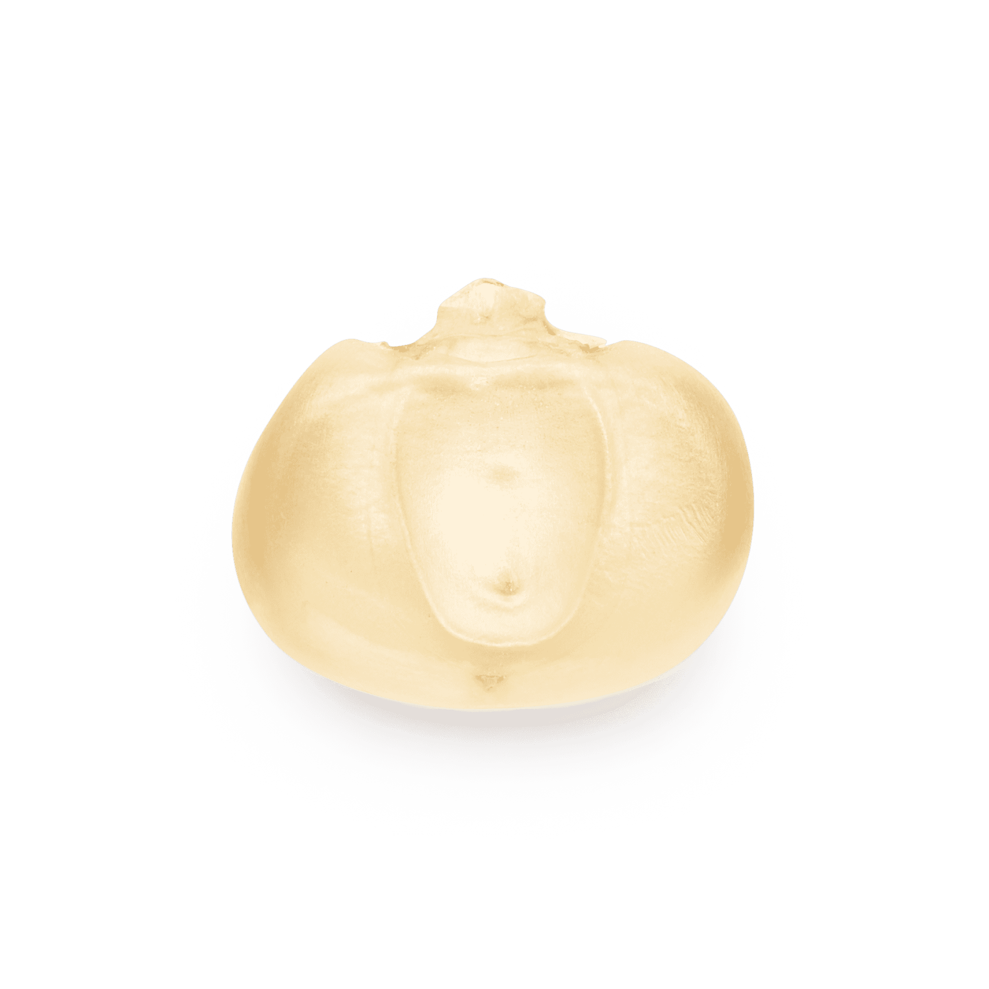 Heirloom Corn | Masienda Wholesale White Bolita | 55 lb | #1 of #3