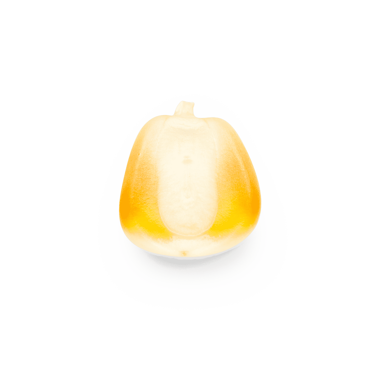 Olotillo