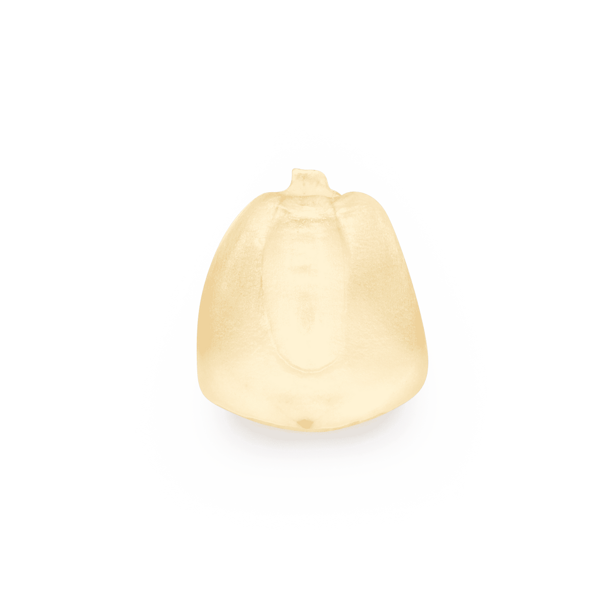Olotillo