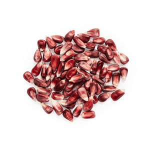 Red Cónico | Masienda Heirloom Corn from Mexico - 55 lb | #3 de #3